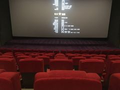 -保利国际影城杭州中南店