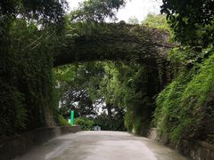 -菊花台公园