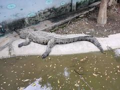 -泉州海丝野生动物世界