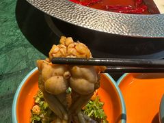 -麻田会 ·鲜活现烹·牛蛙火锅(珠江新城维家思广场店)