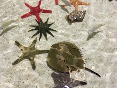 -福州罗源湾海洋世界旅游区