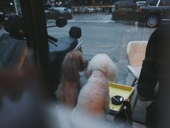 -COFFELIZ COFFEE
