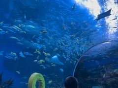 -海合安成都极地海洋公园