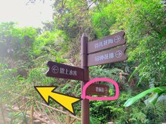 -梧桐山风景名胜区