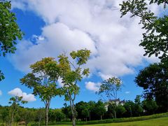 -牛岗山公园