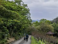 -广州莲花山旅游区