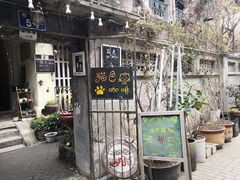 -猫色咖啡·猫咖