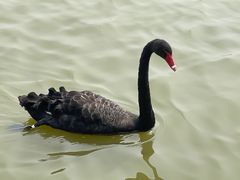 -南大港湿地风景区