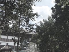 -西双版纳原始森林公园