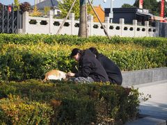 -云龙湖旅游景区