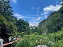 -苍山感通索道