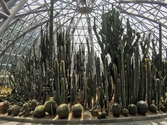 -深圳仙湖植物园