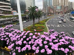 -徐家汇公园
