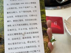 -太婆天府山珍酒楼(亚运村店)