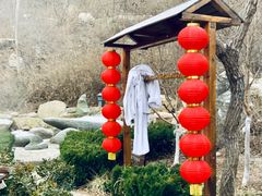 -徂徕山森林康养度假谷温泉