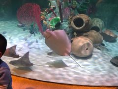 -沈阳海洋探索中心