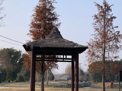 -广富林郊野公园-P5停车场