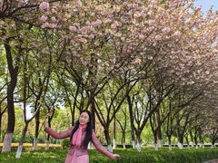-南京奥林匹克体育中心
