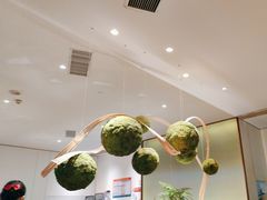 -点心传说·粤菜点心(佐阾虹湾店)