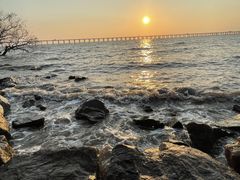 -宝安西湾红树林湿地公园