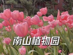 -南山植物园