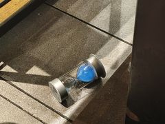 -春润大地海南椰子鸡(沙井京基百纳广场店)