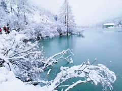 -毕棚沟景区
