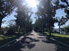 -东钱湖小普陀景区