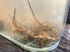 -成都银泰中心in99