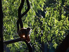 -常州淹城野生动物世界