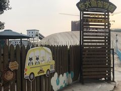 -柴犬高等学院·狗咖·柴犬售卖·宠物训练