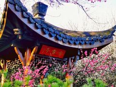 -杭州植物园
