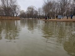 -西安浐灞国家湿地公园