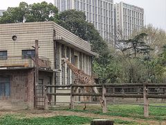 -成都动物园