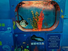 -沙沙哗啦海洋馆(华宇百花谷店)