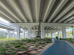 -宝安西湾红树林湿地公园