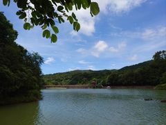 -广州白江湖森林公园