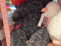 -汤姆熊欢乐世界(正大店)
