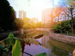 -晓港公园