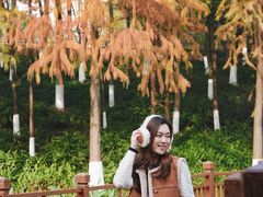 -重庆彩云湖湿地公园
