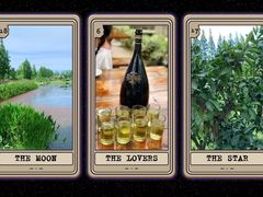 -前小桔亲子创意农场·草莓采摘·露营烧烤