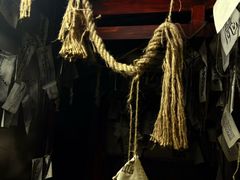 -屋有岛沉浸游戏旗舰店(中山公园店)