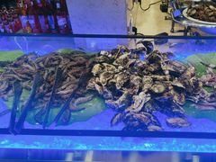 -星海汇海鲜自助烤肉火锅(百大店)