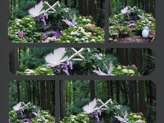 -上海滨江森林公园