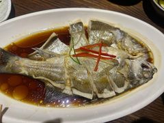 -锦上中式酒馆(南内环店)