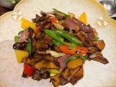 -滇野云南野生菌餐厅(陕西南路店)