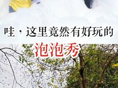 -前小桔亲子创意农场·草莓采摘·露营烧烤