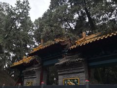 -黄帝陵