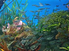 -海合安天津极地海洋公园