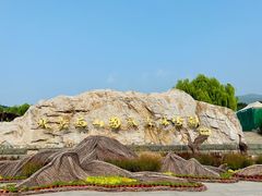 -北京西山国家森林公园